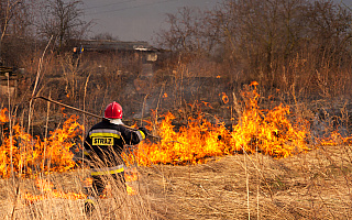 Plaga pożarów traw i trzcinowisk w powiecie elbląskim. Nie wszystkie są wynikiem celowych podpaleń